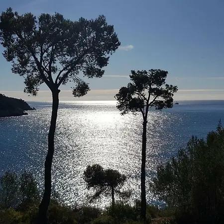 Avec Grand Balcon- De Caractere Бандоль